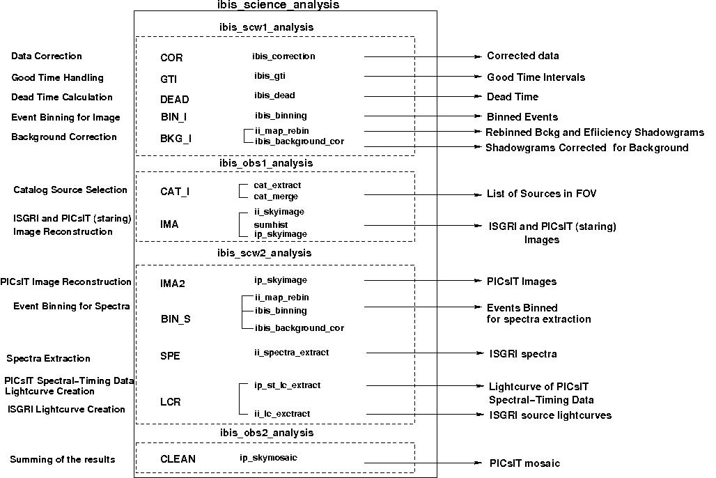 Image analysis_seq_brief